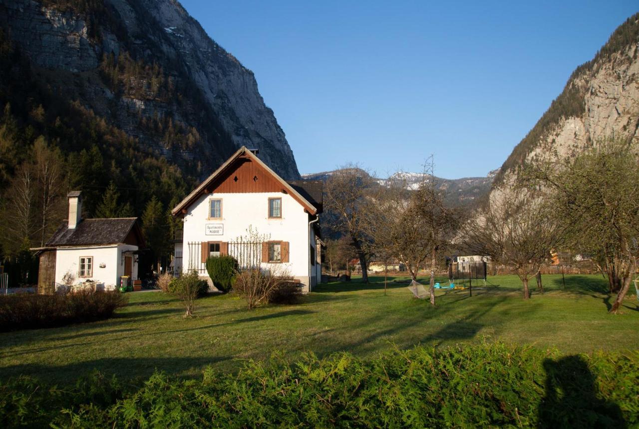 Apartments Marie A Hallstatt Extérieur photo